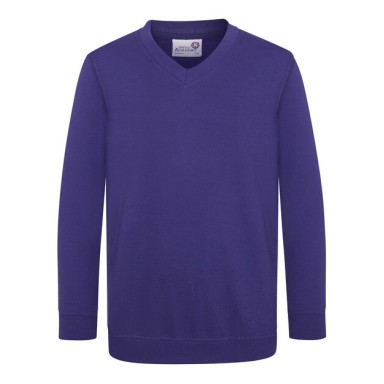 AWD KIDS ACADEMY V-NECK SWEATSHIRT