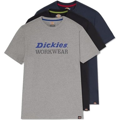 DICKIES RUTLAND GRAPHIC TEE SHIRT